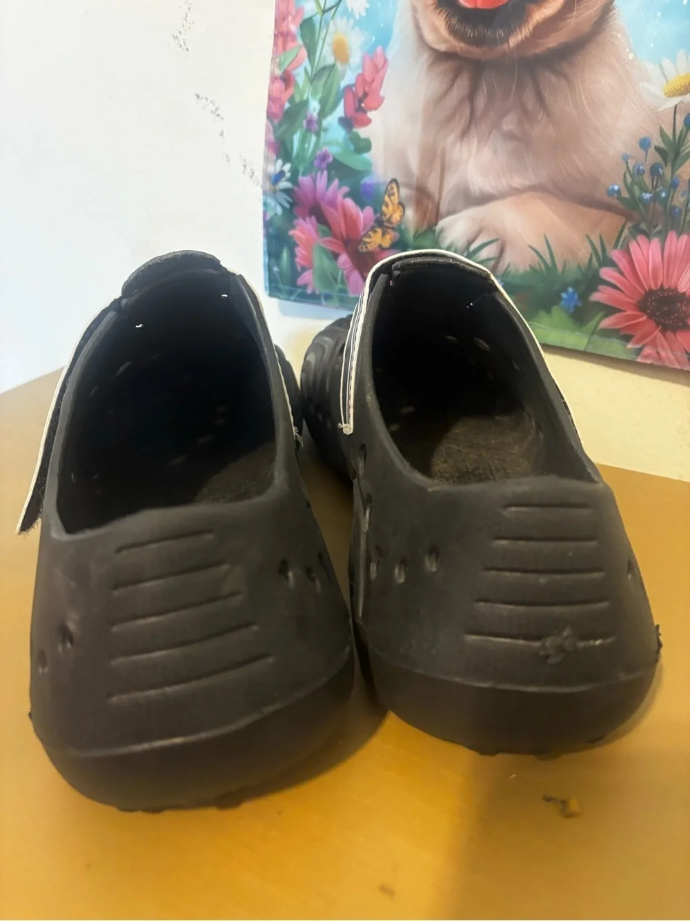 Hounds men ultralight shoes 12/13